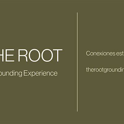 The Root Grounding Experience