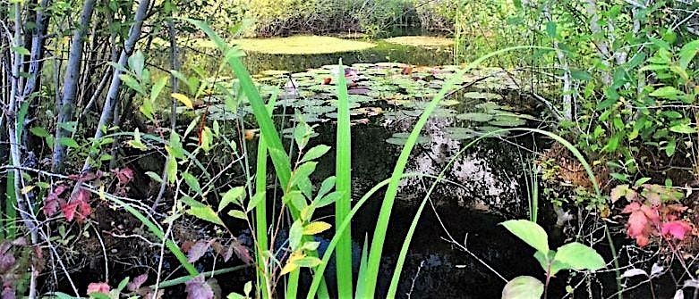 Monkton Nature Reserve - Thanet's Hidden Gem, 22 January | Event in Ramsgate | AllEvents