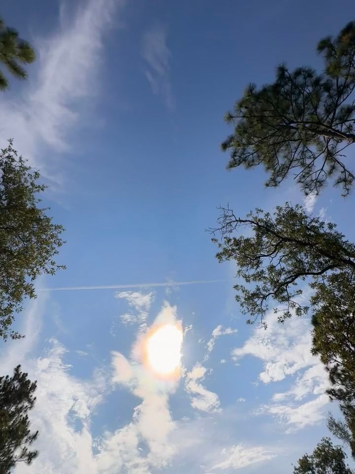 Meet our commission to repeal ATV ban, Hernando County Government