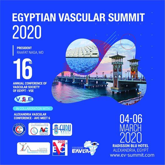 Image result for egyptian vascular summit