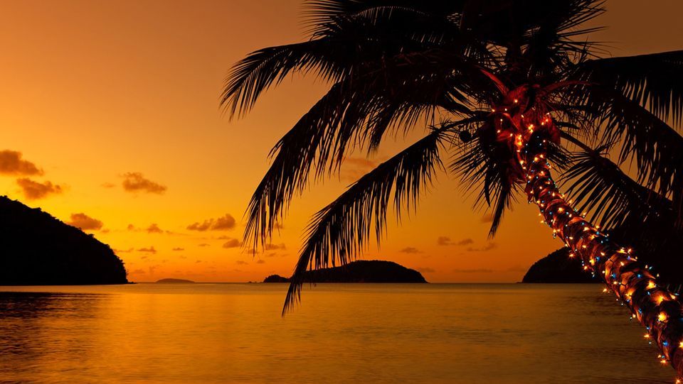 Drunken Drag Brunch Mangoes Restaurant Key West December 17 2023 drunken-drag-brunch-mangoes-restaurant-key-west-december-17-2023