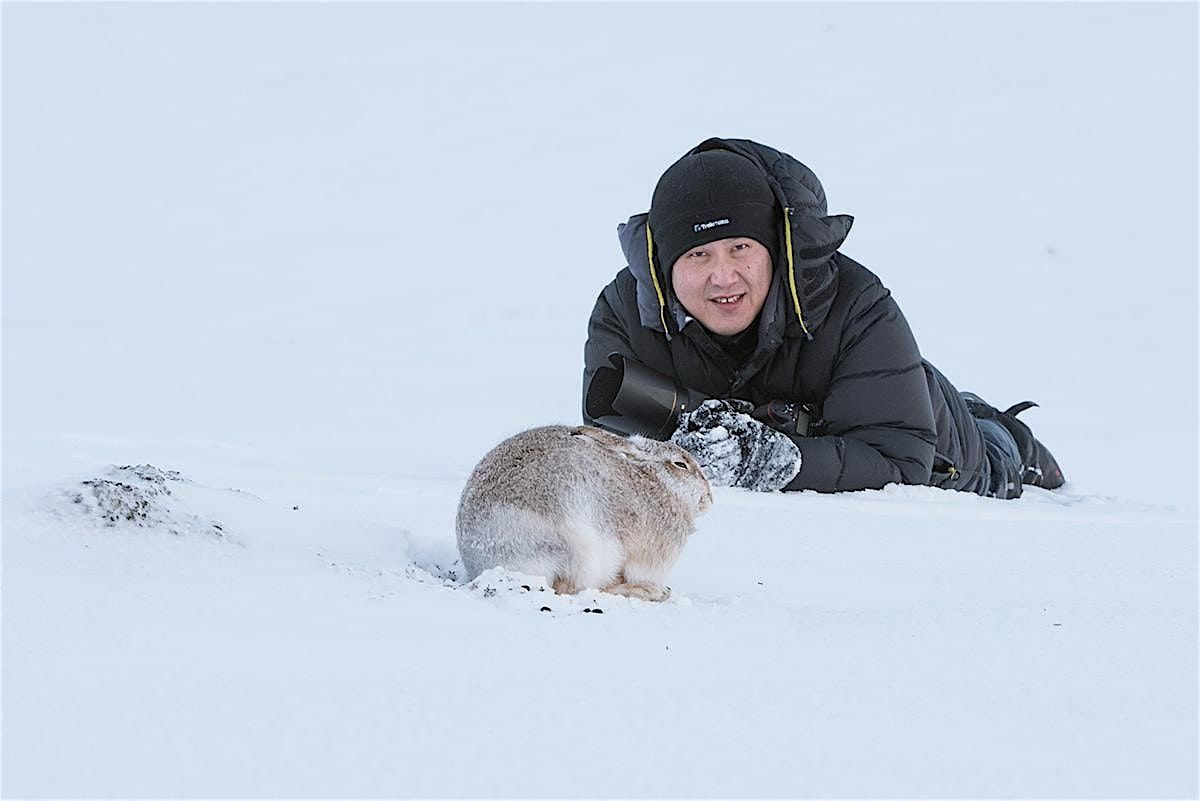 DES ONG's  Wildlife of Britain and Beyond, 31 March | Event in Colchester | AllEvents
