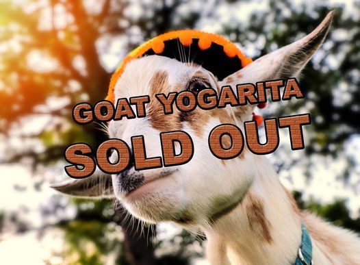 Wiggy Thump Festival 2021 Anderson County Youth Livestock Pavillion Palestine Tx October 30 2021 Allevents In Wiggy Thump Festival 2022 Anderson County Youth Livestock Pavilion May 19