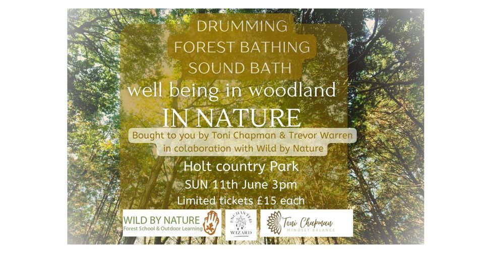 Woodland,Drumming Forest bathing, Sound bath, Holt Country Park ...