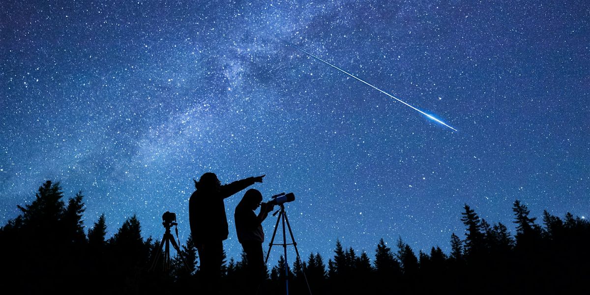 Nocturnal Safari & Stargazing, 14 December | Event in St Fillans, Perthshire | AllEvents