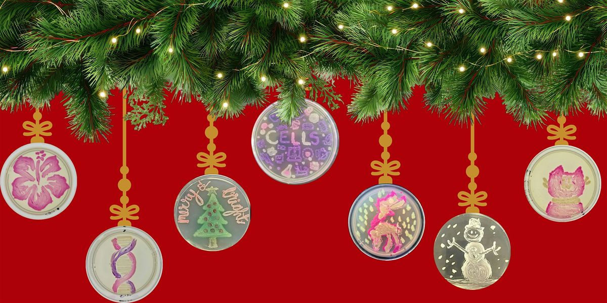 Make Holiday Ornaments: Agar & Micropipetting Art, 22 December | Event in Frederick | AllEvents