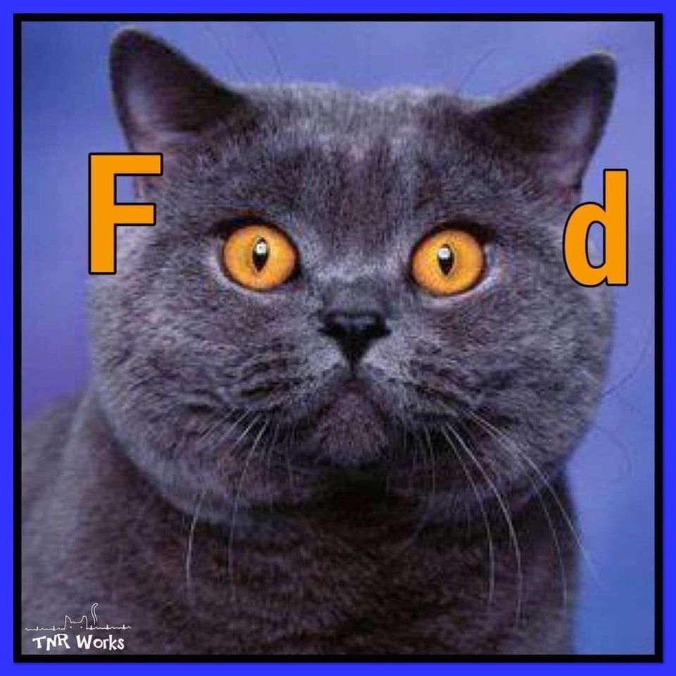 Pet Food Pantry limited to Hardin County, Ohio residents, Hardin County