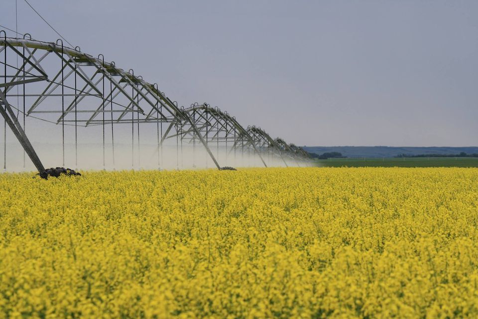 Alberta Irrigation 2023 Conference, Deerfoot Inn and Casino, Calgary, 6