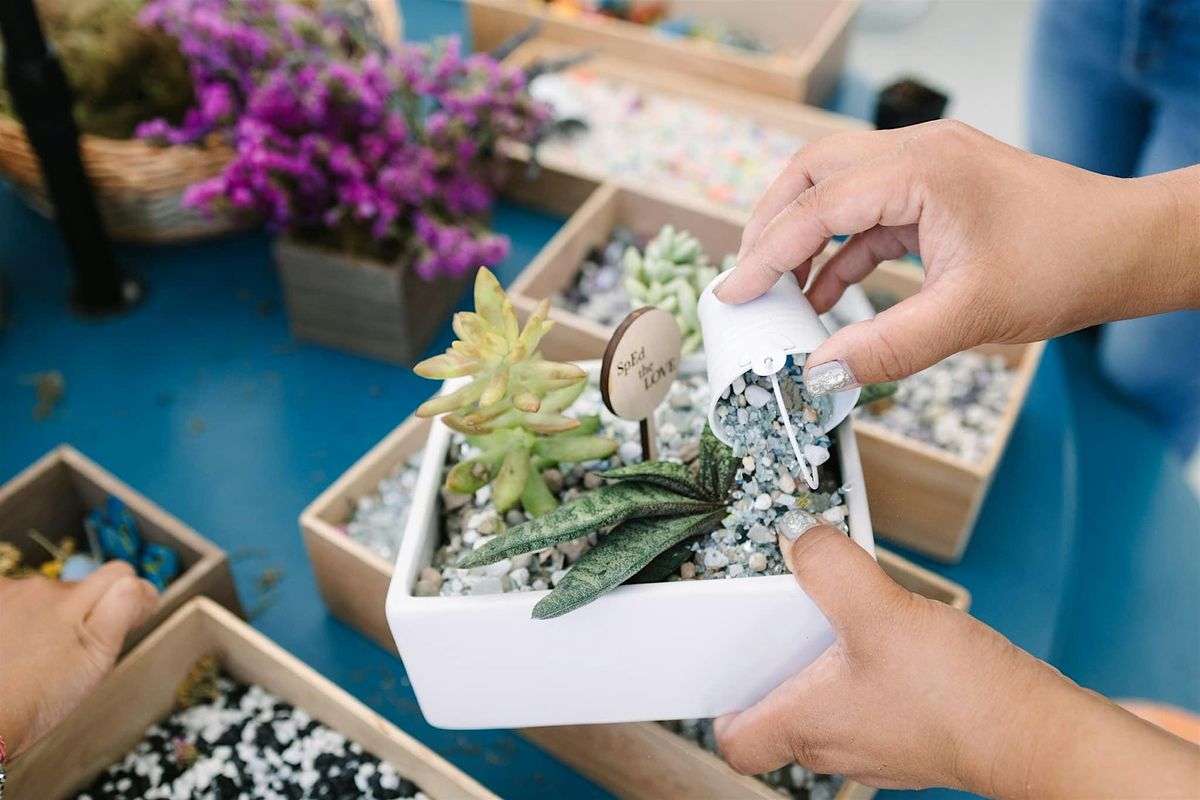 Succulent Workshop, 7 December | Event in Norwalk | AllEvents