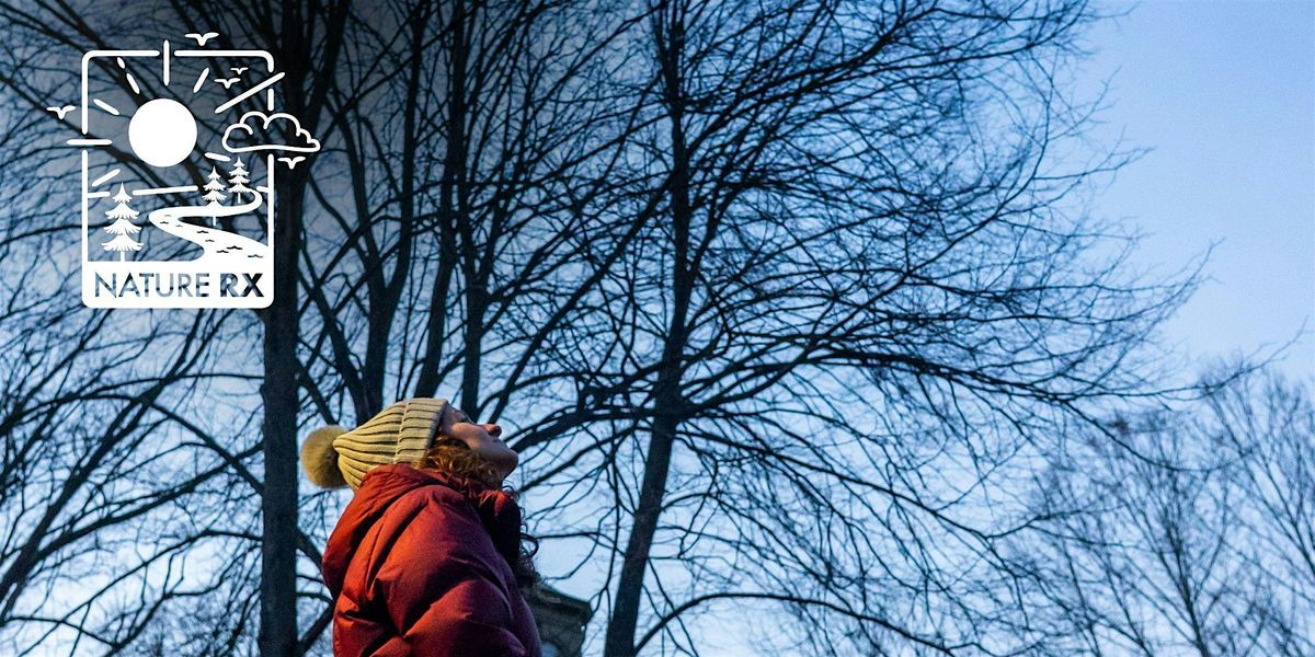 Nature Rx | Stargazing and Fireside Reflections, 11 December | Event in Peninsula | AllEvents