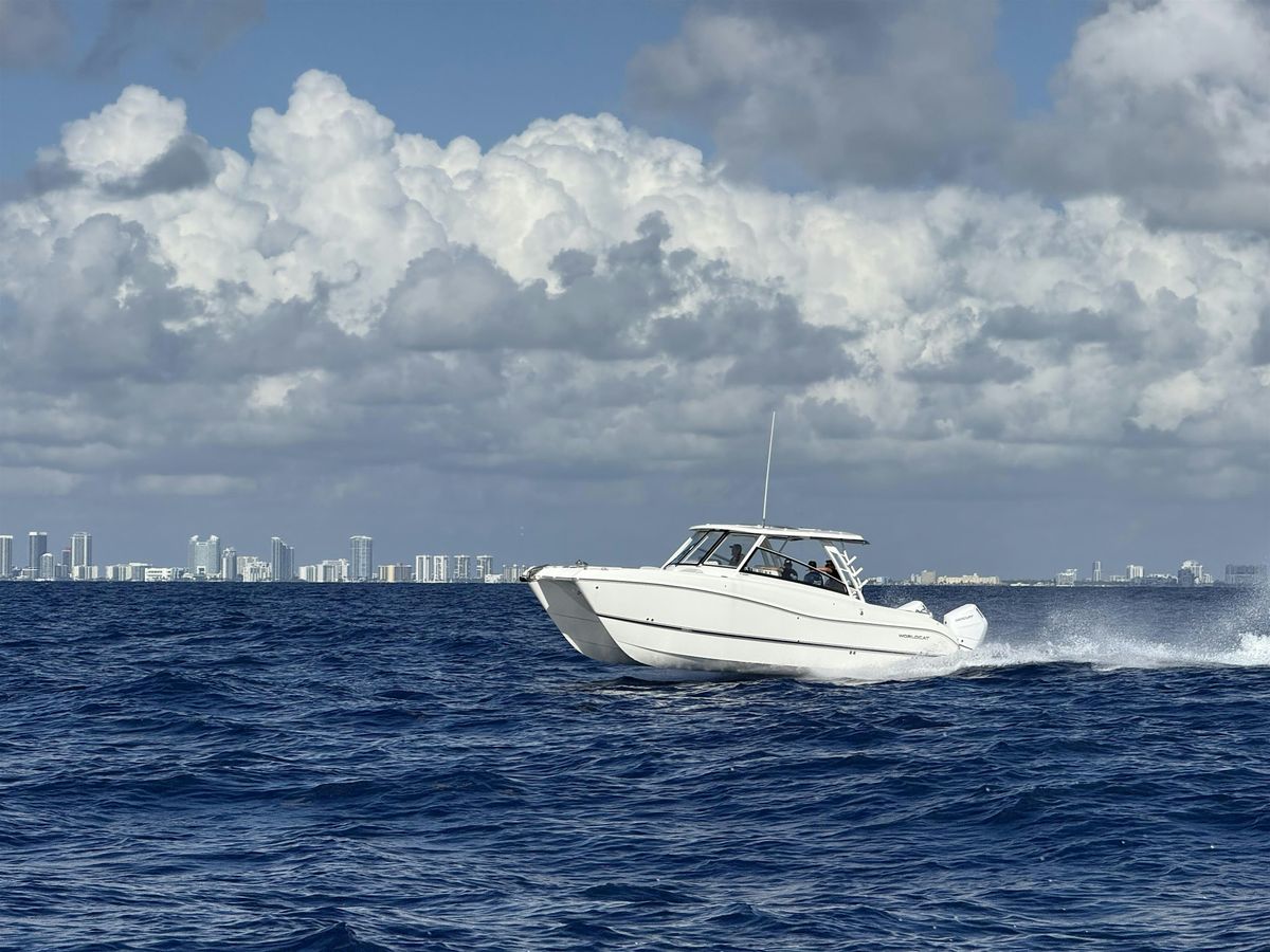 World Cat of Naples Demo Days, 30 January | Event in Naples | AllEvents