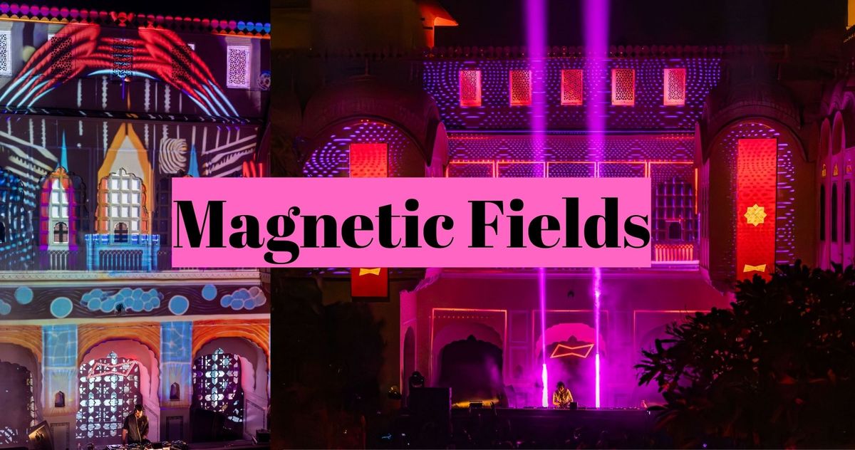 The Magnetic Fields, 2 November | Event in Miami | AllEvents