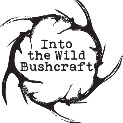 Into the Wild logo