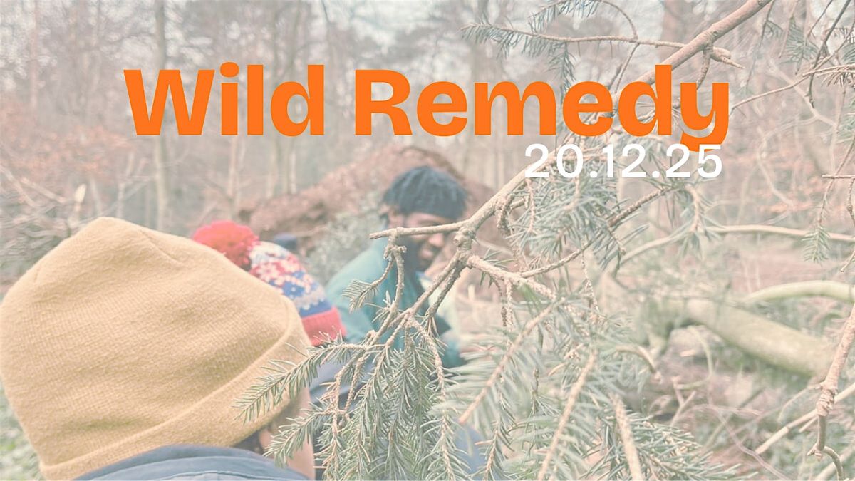 Wild Remedy - Winter Solstice - Lickey Hills, 20 December | Event in Rednal | AllEvents