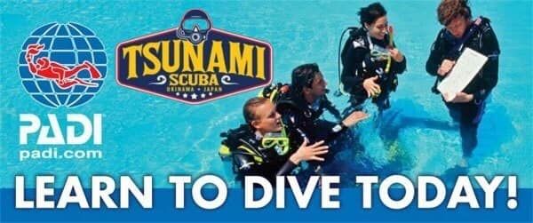 Open Water Diver Course-Torii Beach, 9012317, November 29 2021