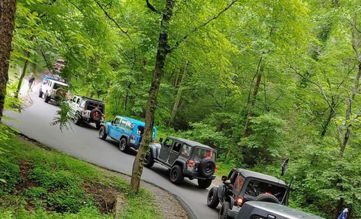 Wears Valley Events List Of All Upcoming Wears Valley Events In Townsend Tn Townsend Tn Events 2022