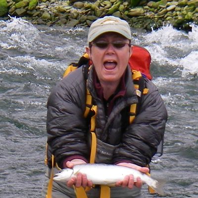 Shenanigans Fly Fishing logo