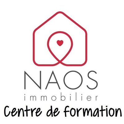 NAOS immobilier logo
