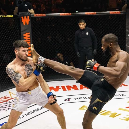 HEXAGONE MMA - AVIGNON SERIES, 15 November | Event in Sorgues | AllEvents