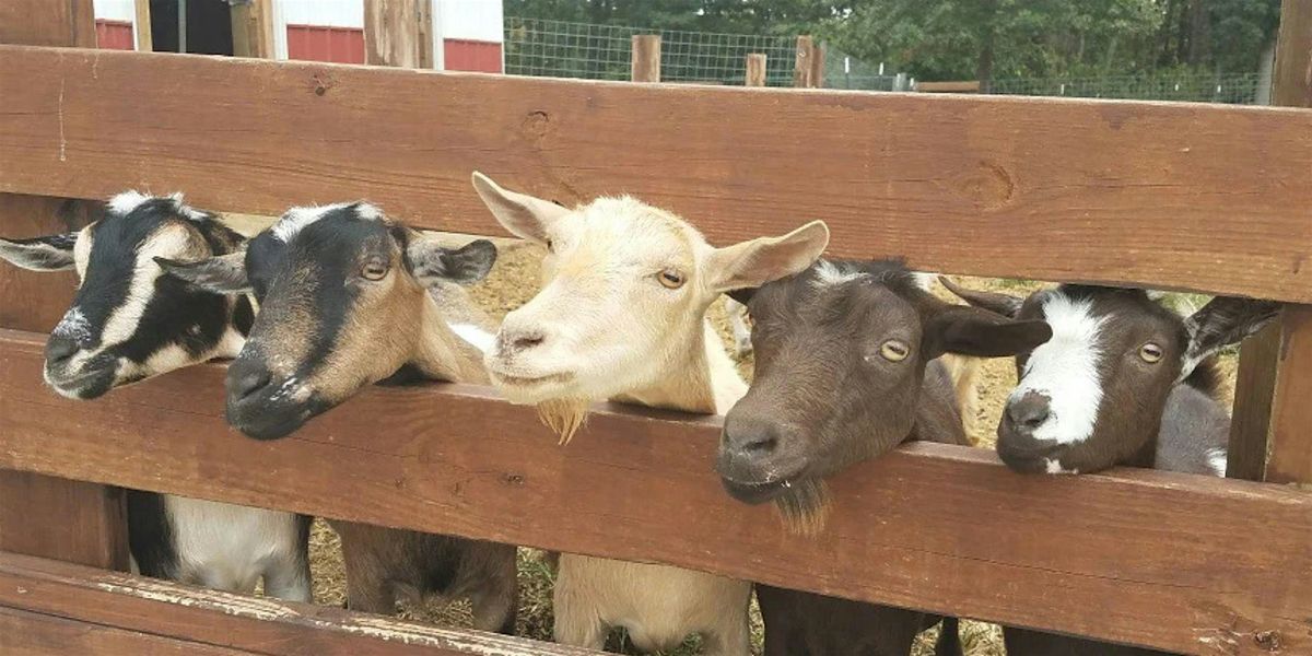 Goat Milking Experience & Class, 1 March | Event in Lanexa | AllEvents