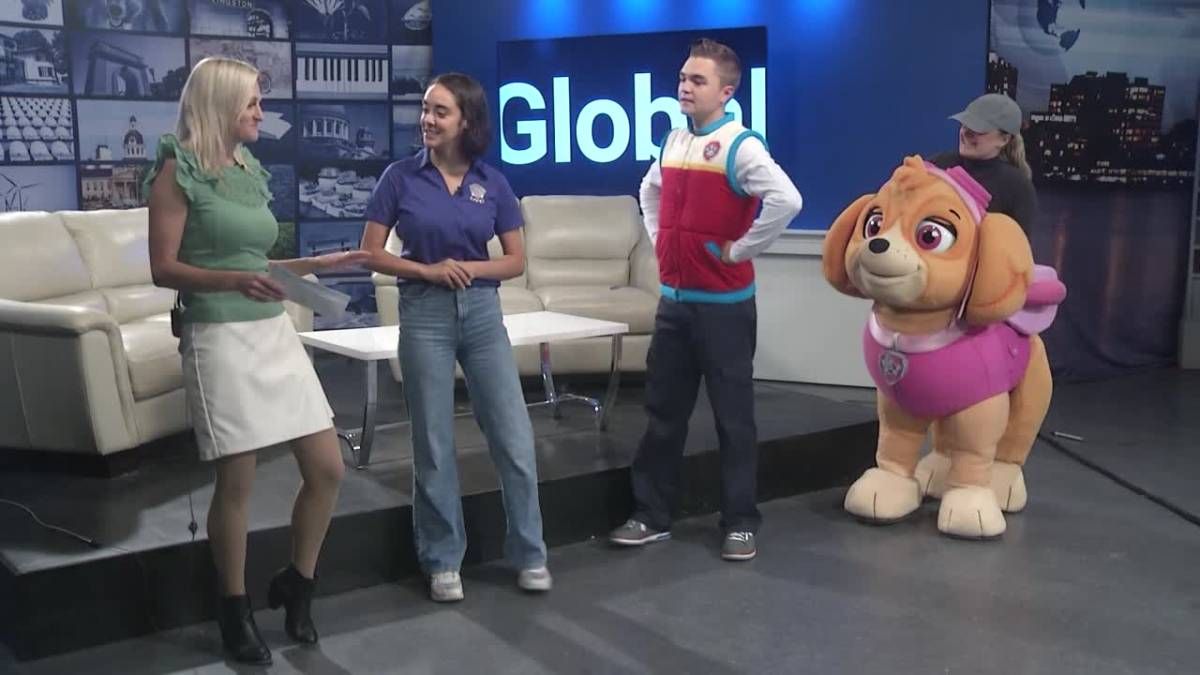 Paw Patrol Live! - Kingston, 26 July | Event in Kingston | AllEvents