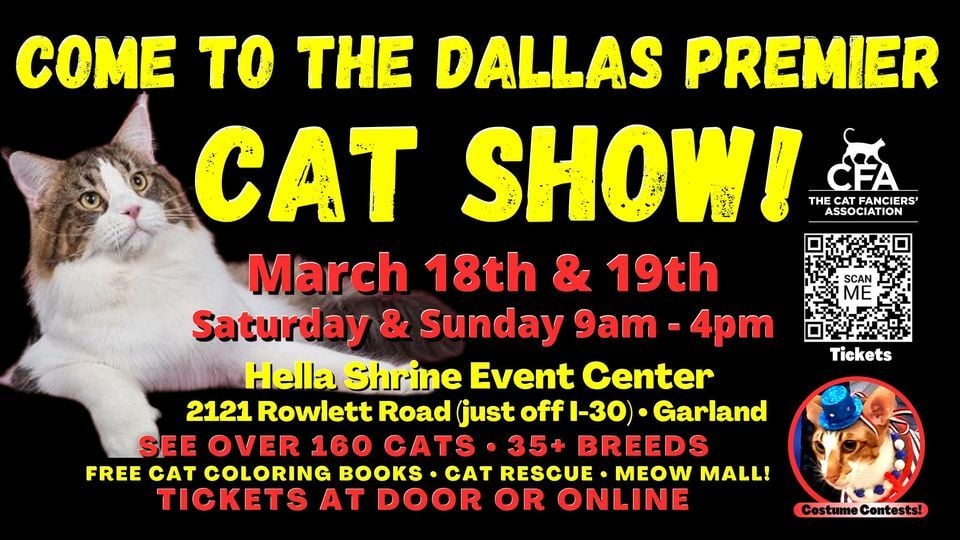 Come To The Premier Dallas Cat Show!, Hella Shrine Center, Garland, 18 March 2023 AllEvents.in