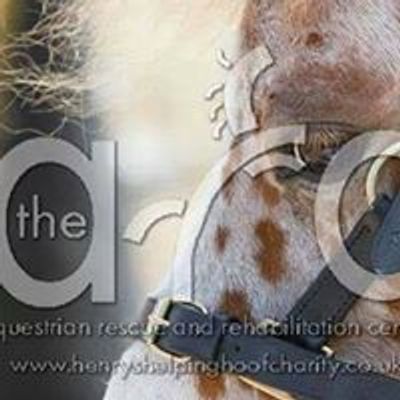 The Arc Equestrian