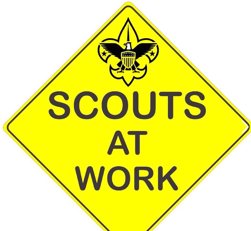 Night time Bog Walk [Private], Cranberry Bog Reservation, Chelmsford Ma