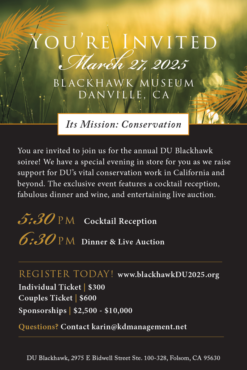 BlackHawk at McMinnville Park Theater, 8 August | Event in Mc Minnville | AllEvents