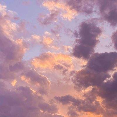 La Rosa Blanca & Awesome Hugs logo