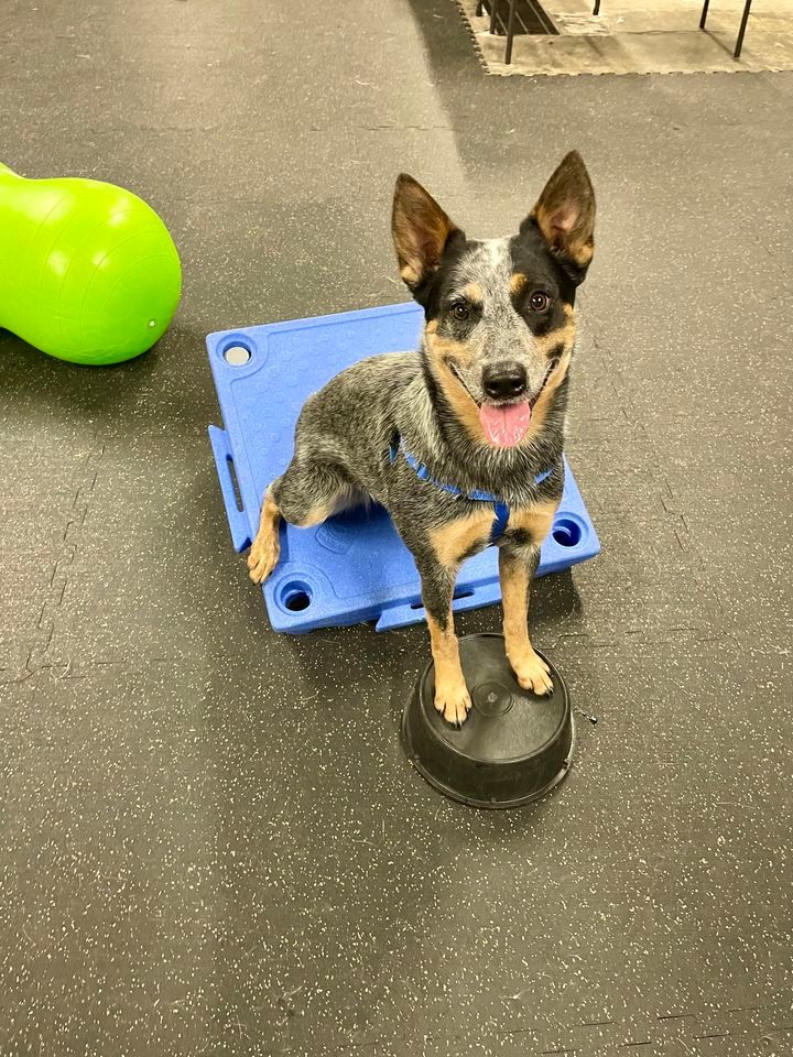 Open Class Open Enrollment, 951 Point Marion Rd, WV 26505