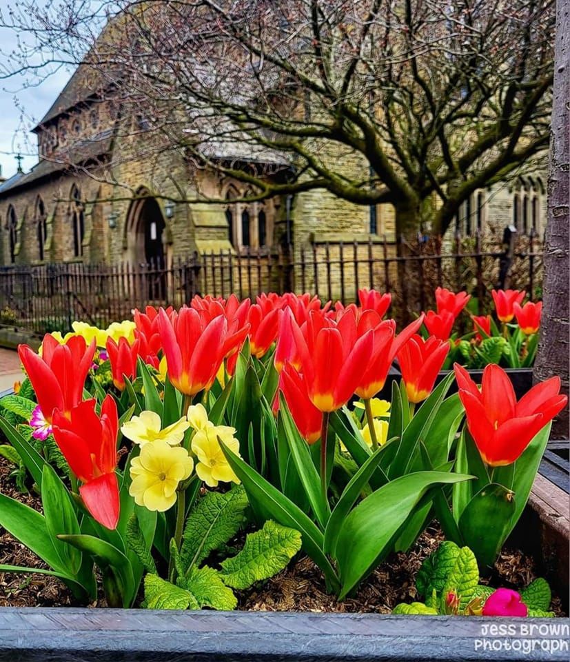 Weeding Lord Street Planters, London Street, Fleetwood, 7 June 2023