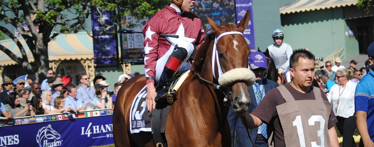 PARKING: 2025 Breeders' Cup World Championships Friday, 31 October | Event in Del Mar | AllEvents
