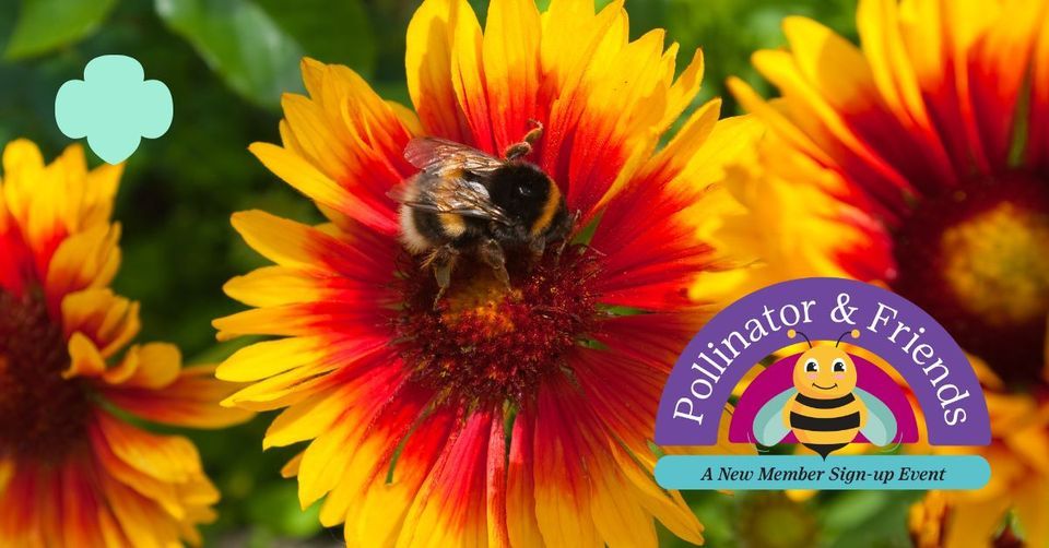 Hartland Pollinator & Friends A Girl Scouts Information & Signup