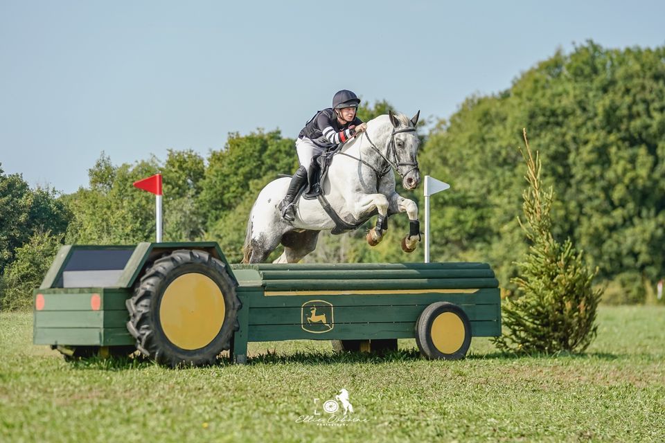 Unaffiliated horse trials, Munstead Horse Trials, Godalming, 15 June to