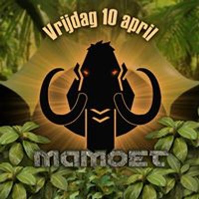 Mamoet-fuif