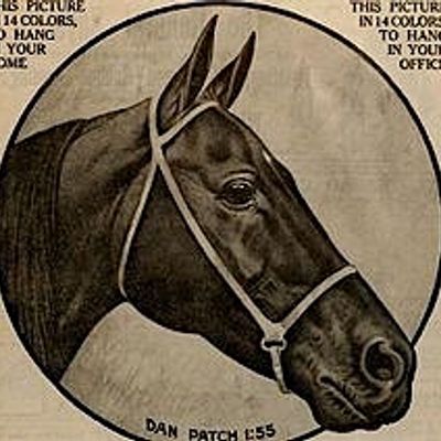 Dan Patch Community Festival