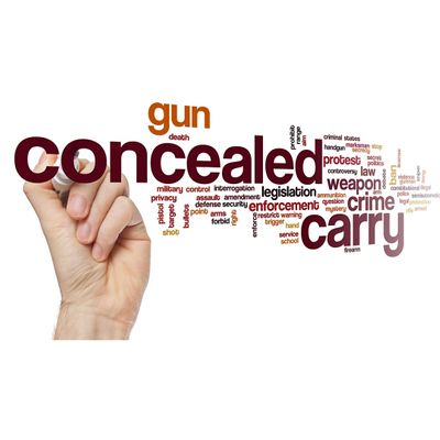 Firearms Training at Frontier Firearms USA logo