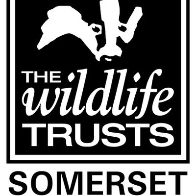 Somerset Wildlife Trust logo