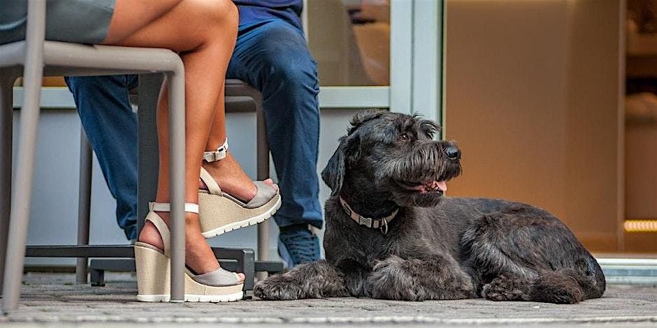 *FLASH SALE 35%* As seen on BravoTV! Blind-Date Matchmaking in Auckland | Event in Auckland | AllEvents