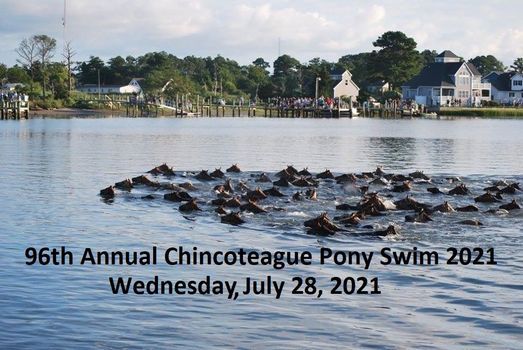 Wknps9tc3m6evm Chincoteague Christmas Parade 2021