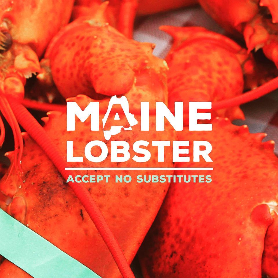 Got Lobstah? Holy Smoke Cigar Cafe, Holy Smoke Cigar Cafe, Palm Harbor, 27 April 2024