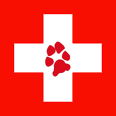 K9 First Aid & CPR