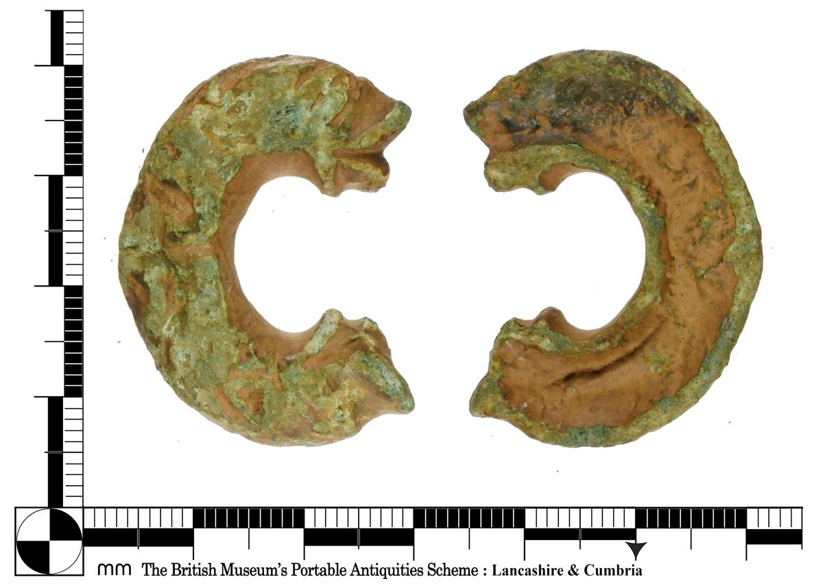 Tullie House Finds Day, 17 January | Event in Carlisle | AllEvents