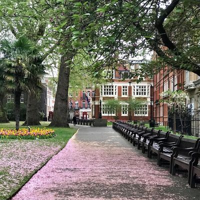 Mayfair Library logo