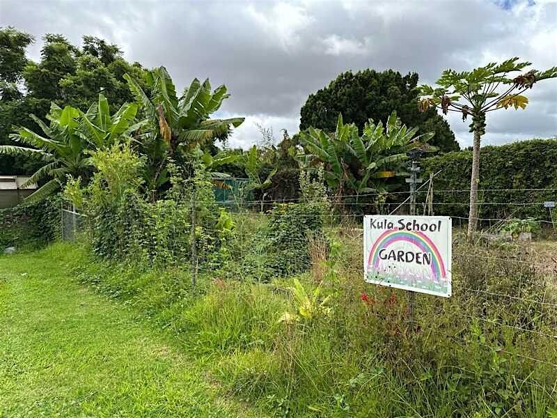 Laulima Days, 7 December | Event in Kula | AllEvents