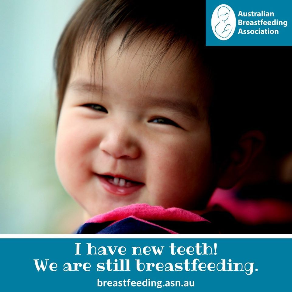 North Brisbane Breastfeeding, Biting and Teething, Grange Library