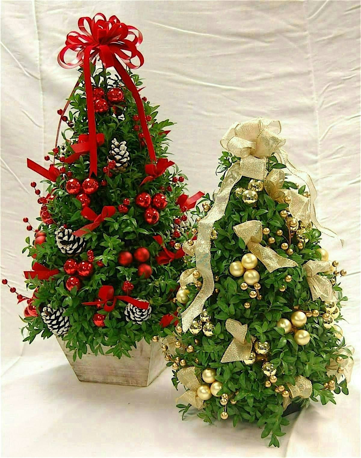 Boxwood Tree Workshop!!, 29 November | Event in Kinderhook | AllEvents