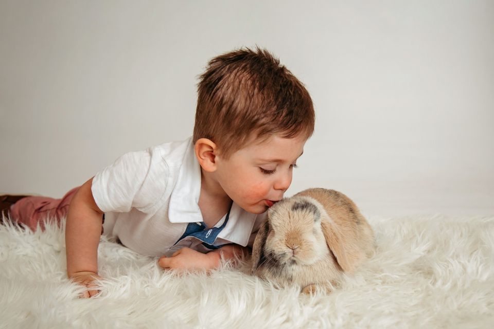 Easter Minis with Bunnies!, Courtney Eick Photography, Omaha, 23 March 2024 AllEvents.in