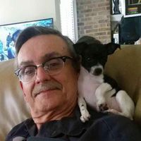 User profile photo